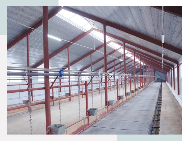 Строительство коровников в Пятигорске от 616 руб.