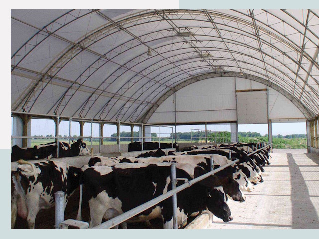 Тентовые коровники в Пятигорске